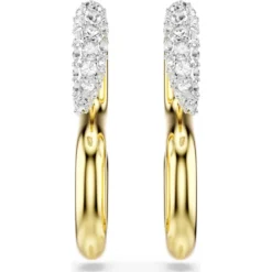 Dextera earrings