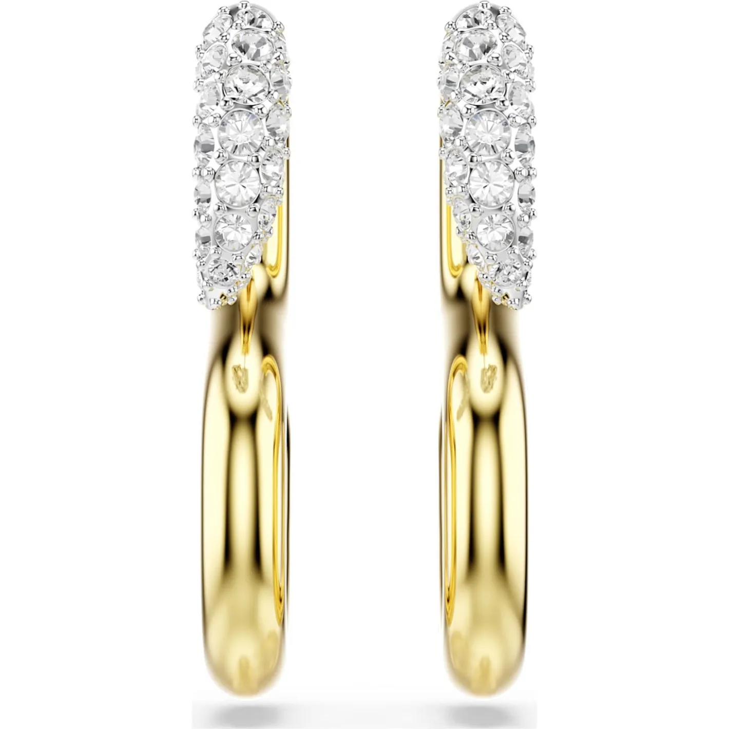 Dextera earrings