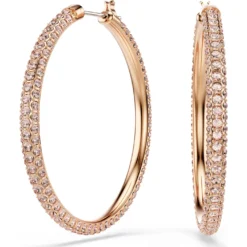 Dextera hoop earrings