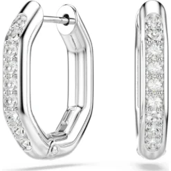 Dextera hoop earrings
