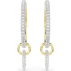 Dextera hoop earrings