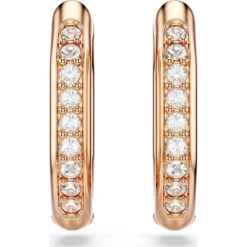 Dextera hoop earrings