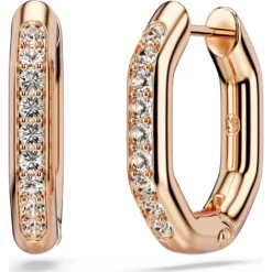 Dextera hoop earrings