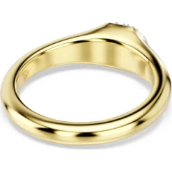 Dextera ring