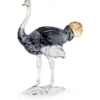 Elegance of Africa SCS Ostrich Makena