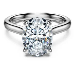 Eternity solitaire ring