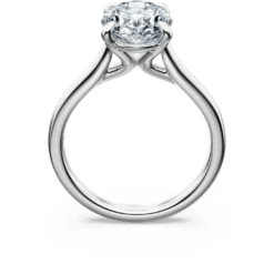 Eternity solitaire ring
