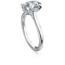 Eternity solitaire ring