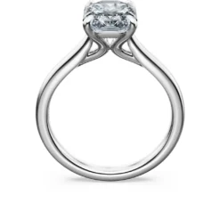 Eternity solitaire ring