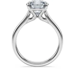 Eternity solitaire ring
