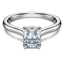 Eternity solitaire ring