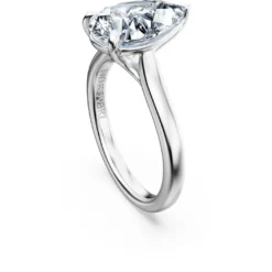 Eternity solitaire ring