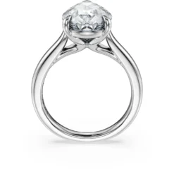 Eternity solitaire ring