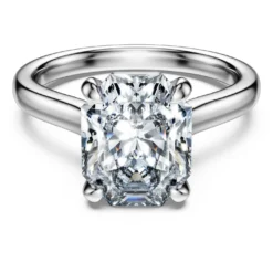 Eternity solitaire ring