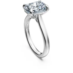 Eternity solitaire ring