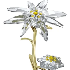 Florere 130th Anniversary Bell Jar