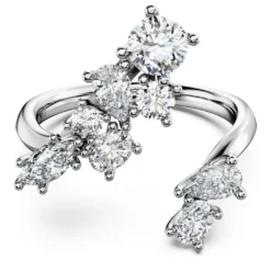 Galaxy bypass ring