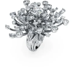 Galaxy ring