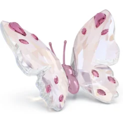 Idyllia Butterfly