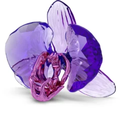 Idyllia SCS Orchid Petal