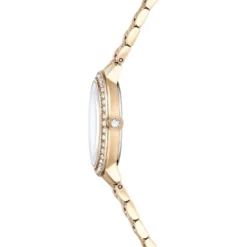 Matrix 3-link watch