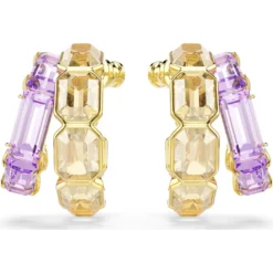 Millenia hoop earrings