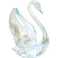 SCS Annual Edition Swan 2024