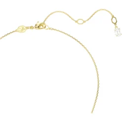 Snake set